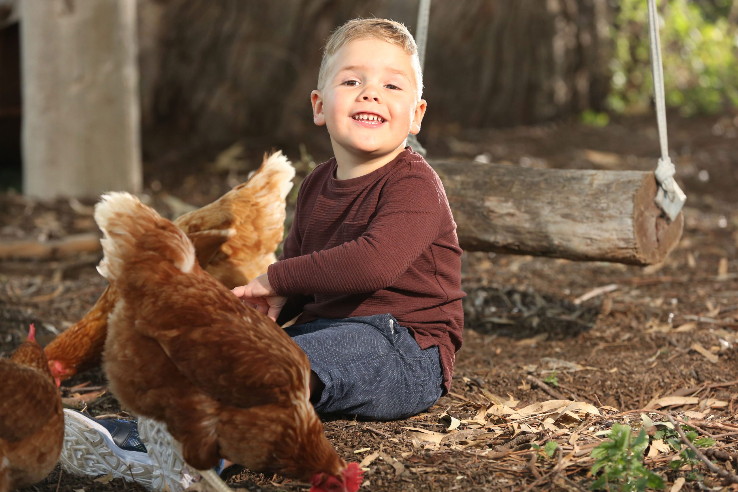 William sitting on the ground with a chicken