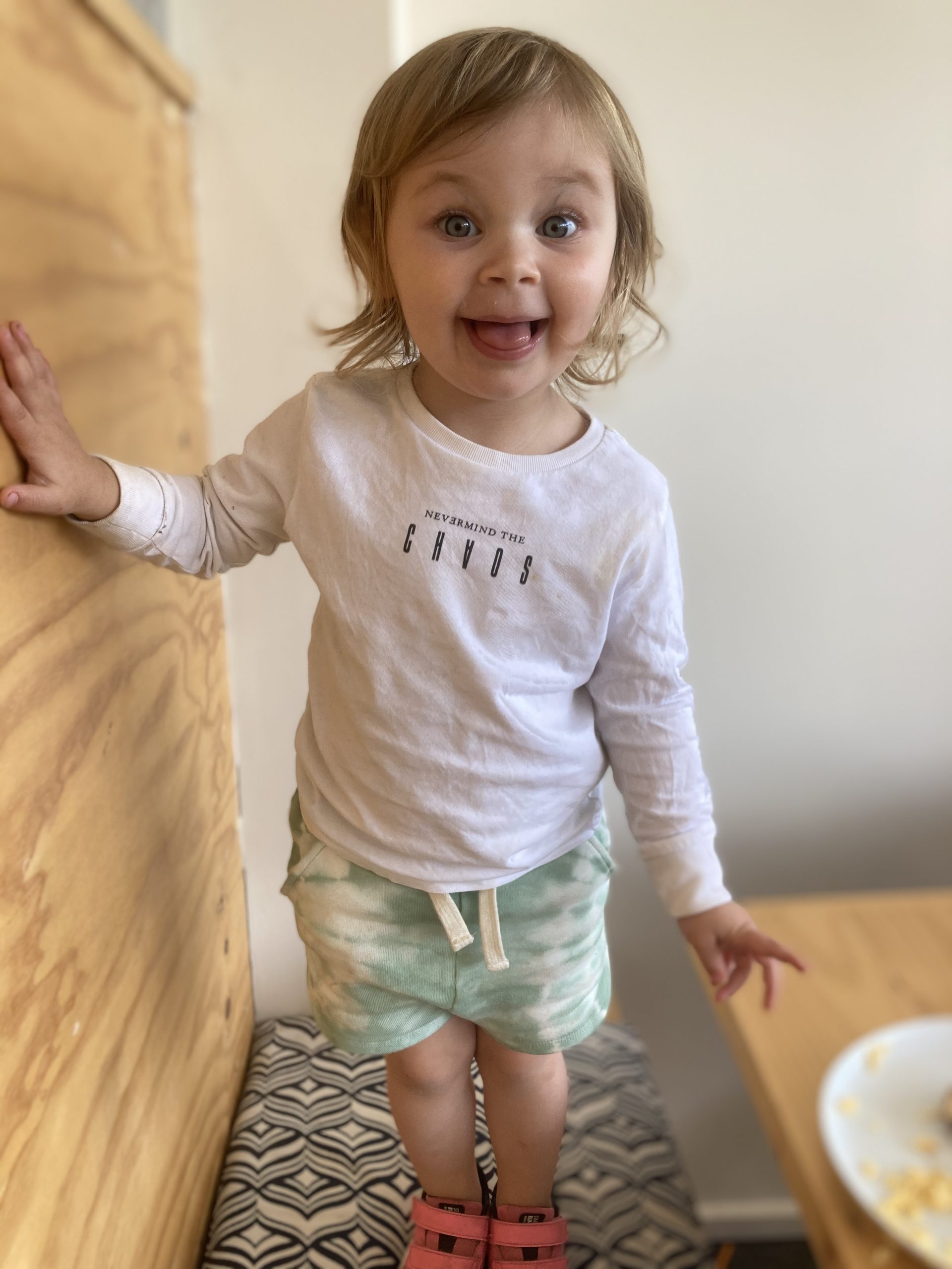 Daisy standing on a chair. She is poking her tongue out a little